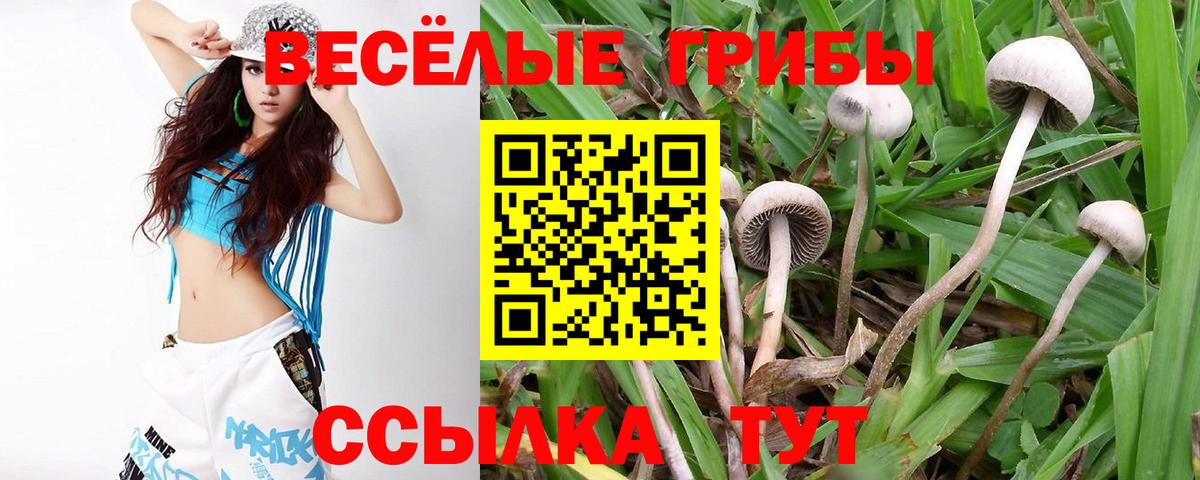 Псилоцибиновые грибы ЛСД Орехово-Зуево
