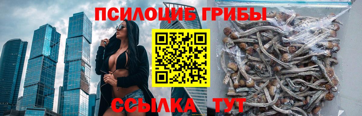 Орехово-Зуево  Псилоцибиновые грибы мухоморы  Псилоцибиновые грибы Magic Shrooms  Вход с VPN 